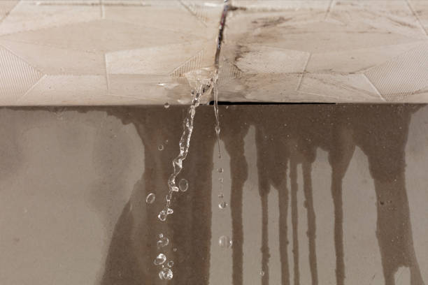 Professional Water Damage Repair technician working in Guysville, OH